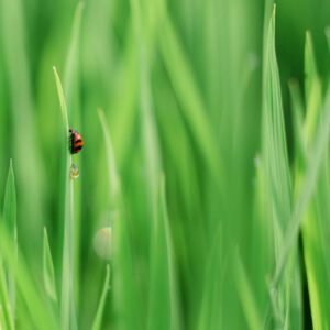 Environnement – Déchets &amp; pollutions