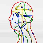 Sensibilisation en Entreprise