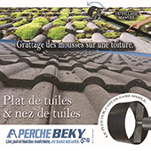 Outillage grattage de mouse plaque fibro et tuile