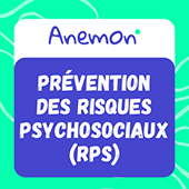 Formation Anemon
